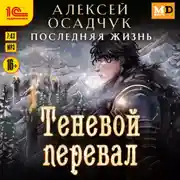 Постер книги Теневой перевал