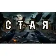 Постер книги Стая