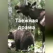 Постер книги Таежная драма