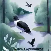 Постер книги Городской голубь