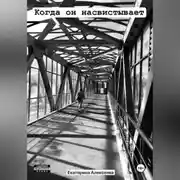 Постер книги 13