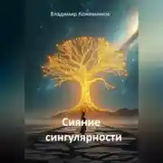 Постер книги Сияние сингулярности