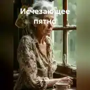 Постер книги Исчезающее пятно