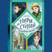 Постер книги Путеводные осколки