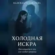 Постер книги Холодная искра