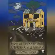 Постер книги Ночные приключения Стасяна и Даньки