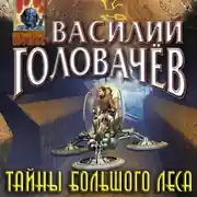 Постер книги Тайны большого леса
