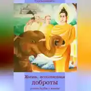 Постер книги Жизнь, исполненная доброты: учение Будды о метте