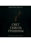 Дмитрий Вектор - Свет сквозь трещины
