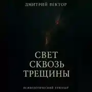 Постер книги Свет сквозь трещины