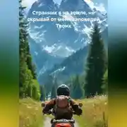 Постер книги «Странник я на земле, не скрывай от меня заповедей Твоих»