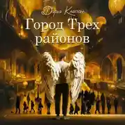 Постер книги Город Трех районов