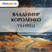 Постер книги Убивец