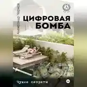 Постер книги Цифровая бомба