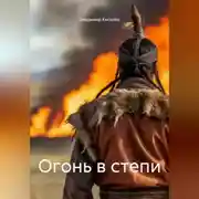 Постер книги Огонь в степи