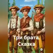 Постер книги Сказка. Три брата.