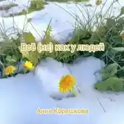 Постер книги Всё (не) как у людей