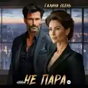 Постер книги Не пара