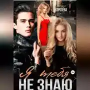 Постер книги Я тебя не знаю