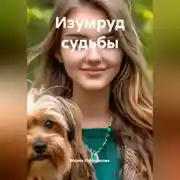 Постер книги Изумруд судьбы