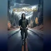 Постер книги Избранный