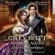 Постер книги Факультет бытовой магии. Охота на принца