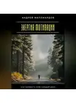 Андрей Миллиардов - Энергия мотивации. Как заряжать себя каждый день