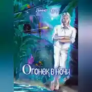 Постер книги Огонек в ночи
