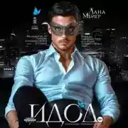 Постер книги ИДОЛ