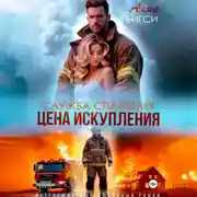 Постер книги Цена искупления