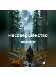 Вячеслав Фит - несовершенство жизни