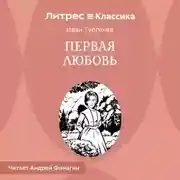 Постер книги Первая любовь.