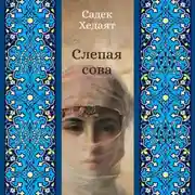 Постер книги Слепая сова