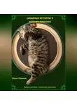 Лана Синева - ЗАБАВНЫЕ ИСТОРИИ О КОТЕНКЕ ПОНЧИКЕ
