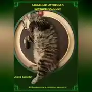 Постер книги ЗАБАВНЫЕ ИСТОРИИ О КОТЕНКЕ ПОНЧИКЕ