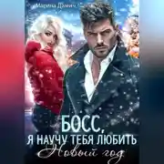 Постер книги Босс, я научу тебя любить Новый Год!
