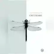 Постер книги СВЕТЛЕНИЕ.