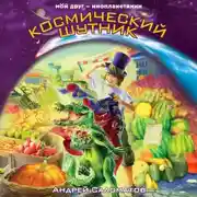 Постер книги Космический шутник