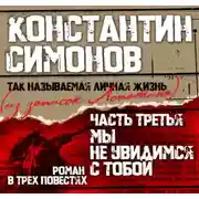 Постер книги Мы не увидимся с тобой…