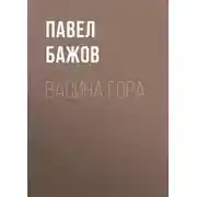 Постер книги Васина гора
