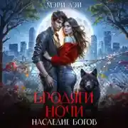 Постер книги Бродяги ночи. Наследие Богов