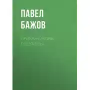 Постер книги Приказчиковы подошвы