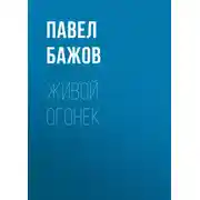 Постер книги Живой огонек