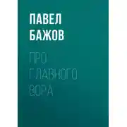 Постер книги Про главного вора