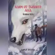 Постер книги Ключ от Тёмного Леса. Незваные гости
