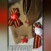 Постер книги ВЕТЕРАН