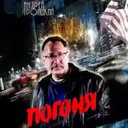 Постер книги Погоня