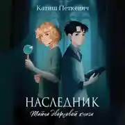 Постер книги Наследник. Тайна дворцовой книги
