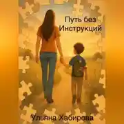 Постер книги Путь без инструкций