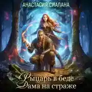 Постер книги Рыцарь в беде, Дама на страже